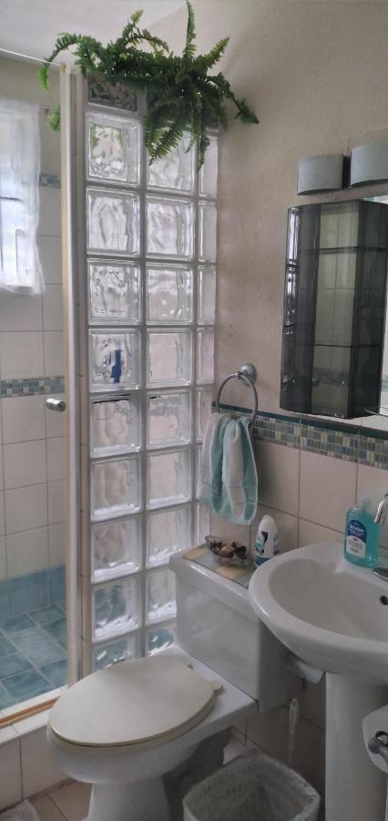 Ferienwohnung Annwin Annex Saint James Exterior foto